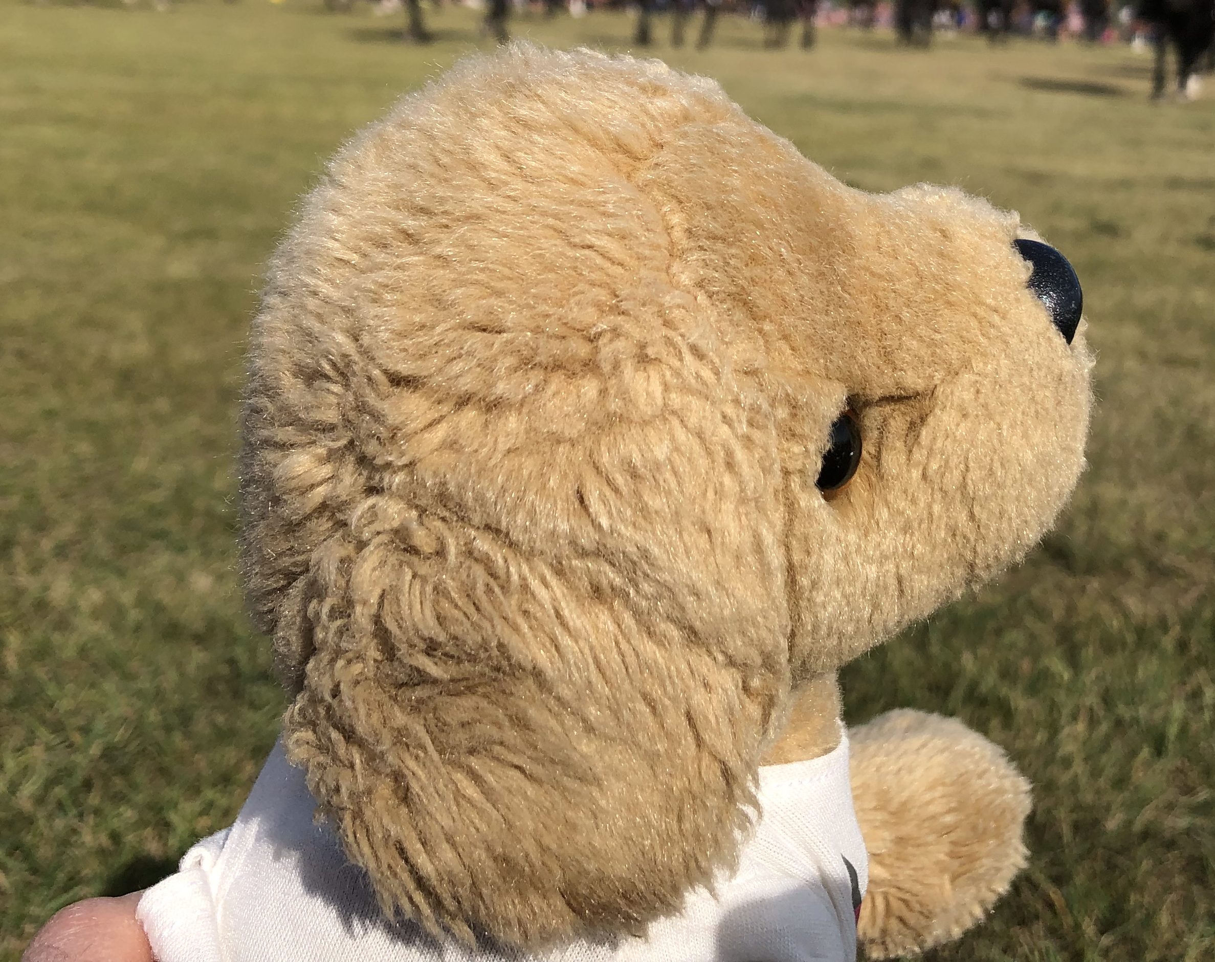 Honey’s Adventure Journal